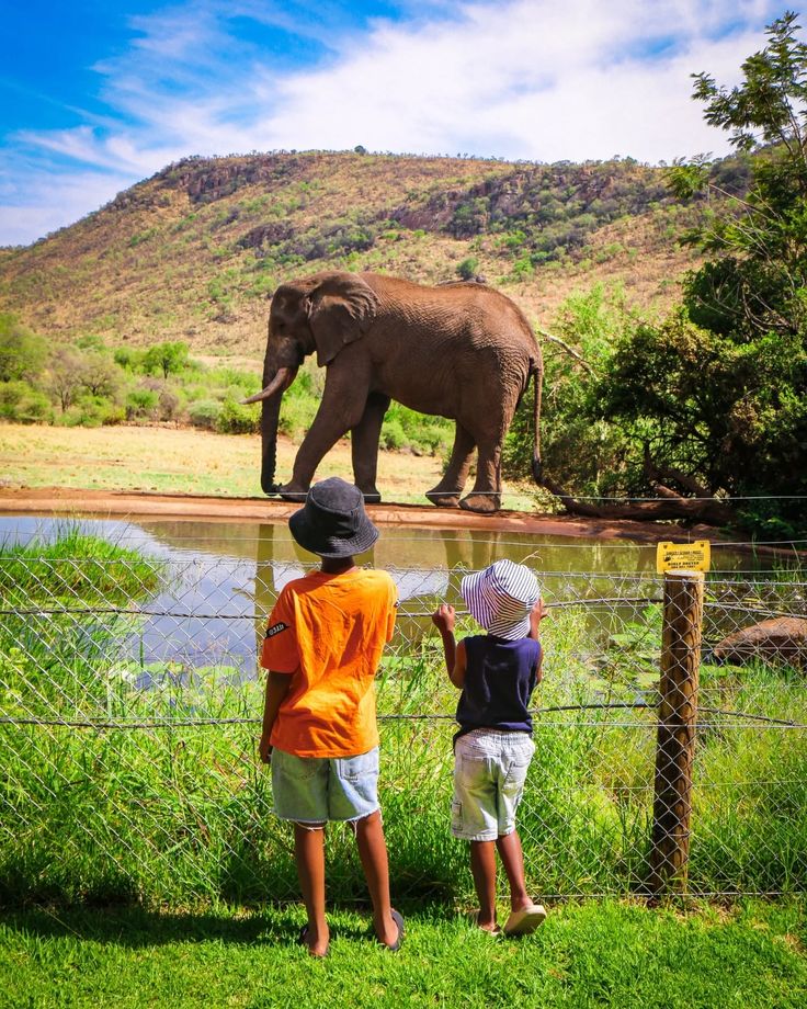 Child Friendly Safari